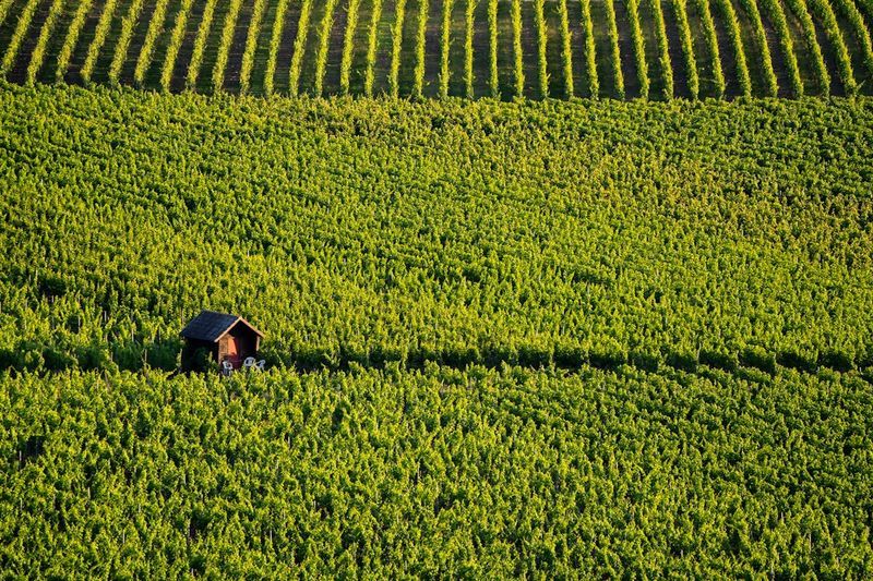 How to Sell Agricultural Land in Missouri?